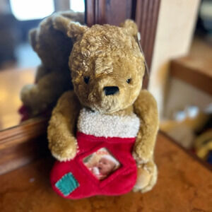 Vintage Gund Classic Pooh Christmas Plush Picture Frame